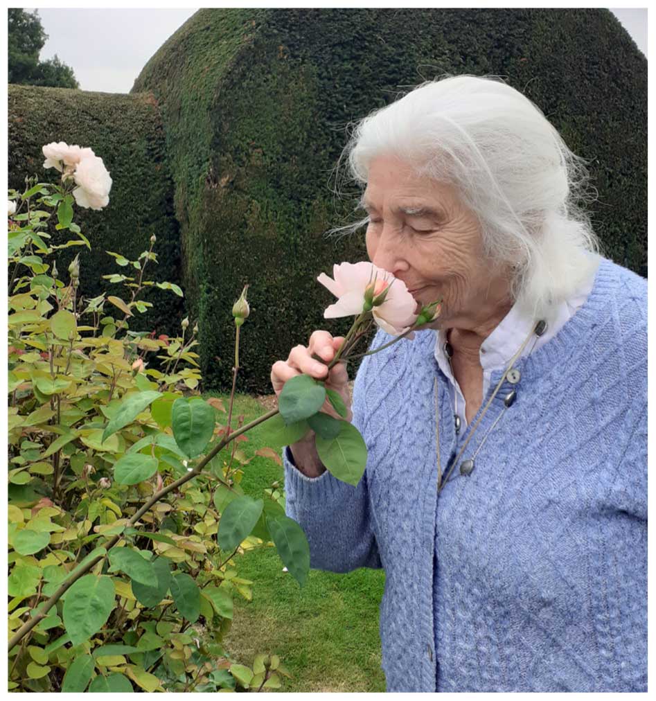 An lady with grey hair and a pale blue cardigan holding a pale pink rose which she is smelling deeply.  Behind her is a rose garden and a dark green hedge.  Taken at Kennet Muddy Boots group