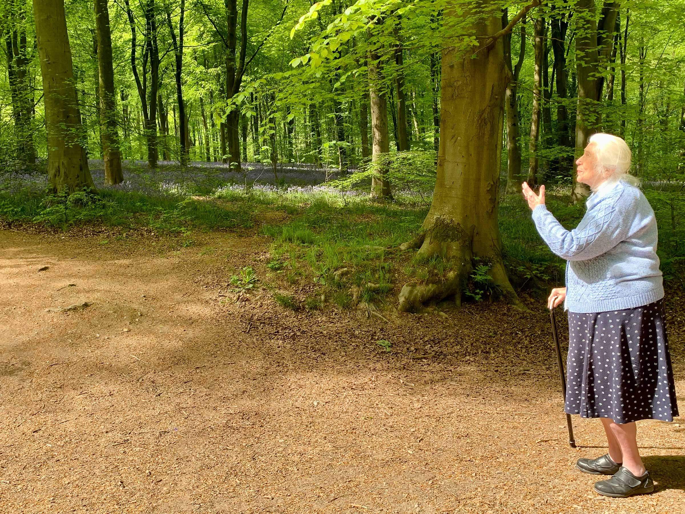A lady with grey hair standing in a wood looking upwards with sunshine on her face to the leafy trees with beautiful bluebells in the background
